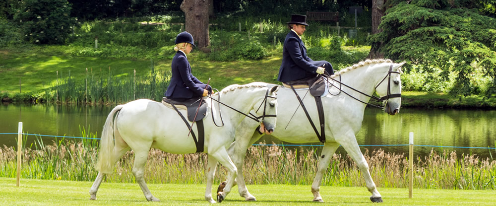 Welcome to the Side Saddle Association