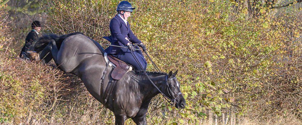 Welcome to the Side Saddle Association