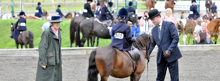 The Side Saddle Association