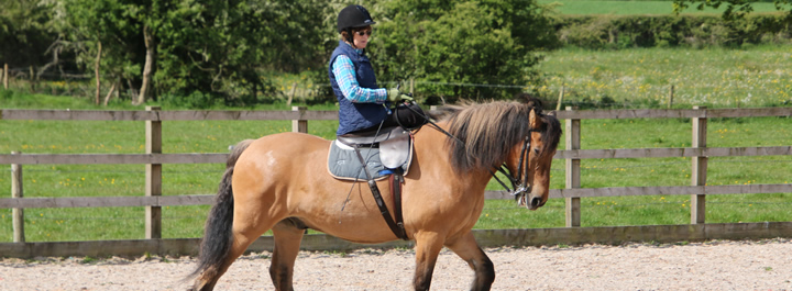 The Side Saddle Association